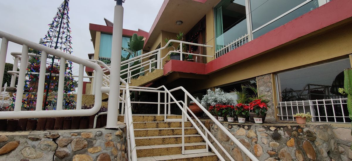 Colonia Juarez, Tijuana